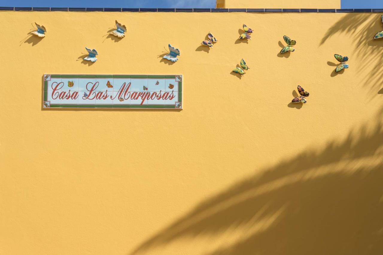 Villa Mariposas 科拉雷侯 外观 照片